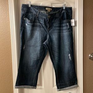 NWT Democracy Cropped Jeans 20